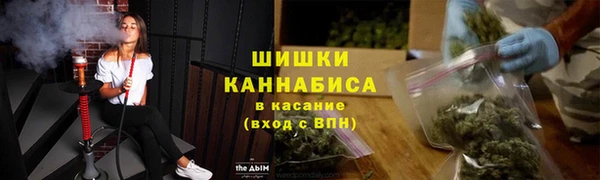 амф Каменка
