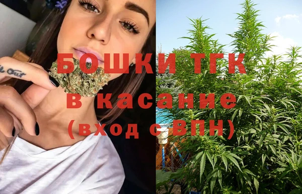 spice Каменногорск