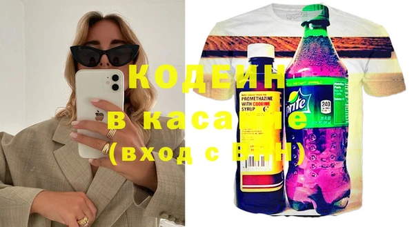 амф Каменка