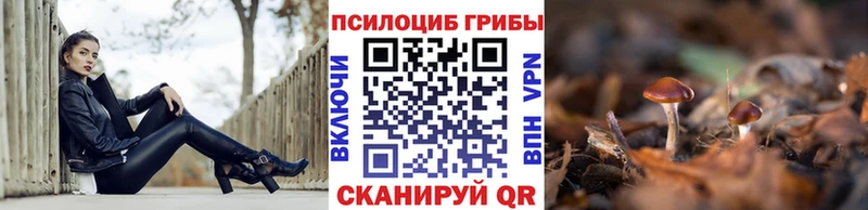 как найти закладки  Миасс  Галлюциногенные грибы мицелий 